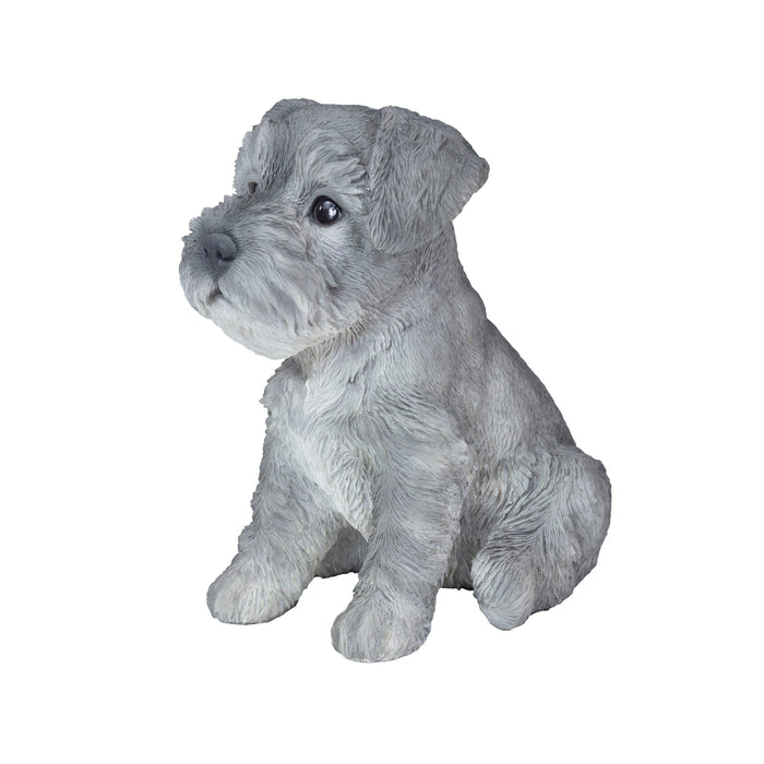 SOREAL Grey Baby Schnauzer Hi-Line Gift Ltd.