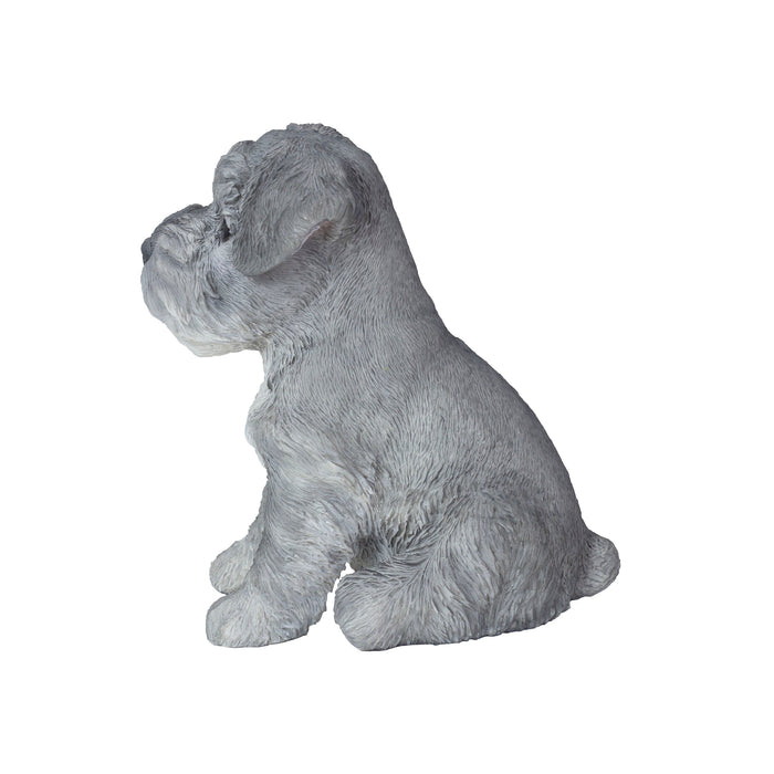 SOREAL Grey Baby Schnauzer Hi-Line Gift Ltd.