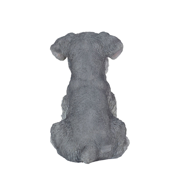 SOREAL Grey Baby Schnauzer Hi-Line Gift Ltd.