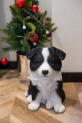 87629-K-soreal-white-and-black-baby-sheepdog Hi-Line Gift Ltd.