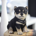 SOREAL White Shiba Decorative Puppy Figurine for Home & Garden Décor Hi-Line Gift Ltd.