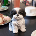 SOREAL Black Shih Tzu Sitting Decorative Puppy Figurine for Home & Garden Décor Hi-Line Gift Ltd.