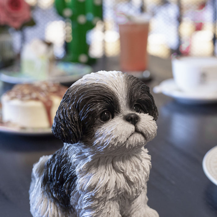SOREAL Black Shih Tzu Sitting Decorative Puppy Figurine for Home & Garden Décor Hi-Line Gift Ltd.