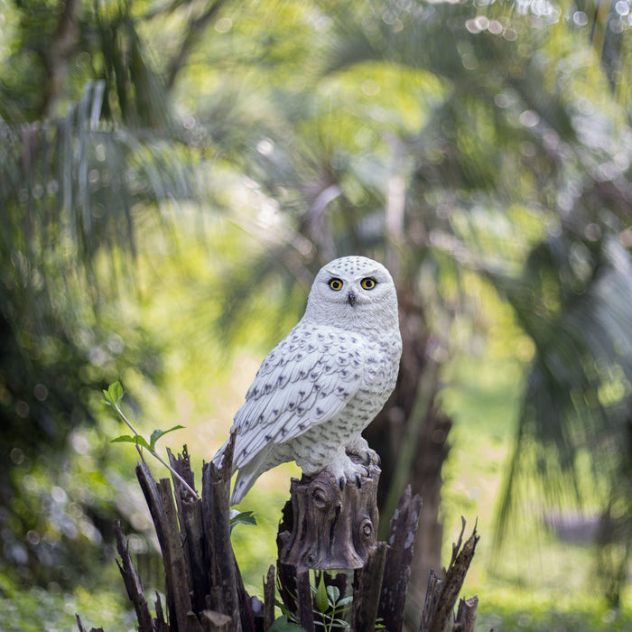 SOREAL White Snowy Owl on branch Hi-Line Gift Ltd.