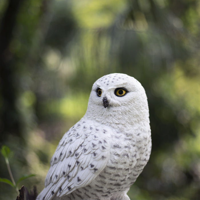 SOREAL White Snowy Owl on branch Hi-Line Gift Ltd.