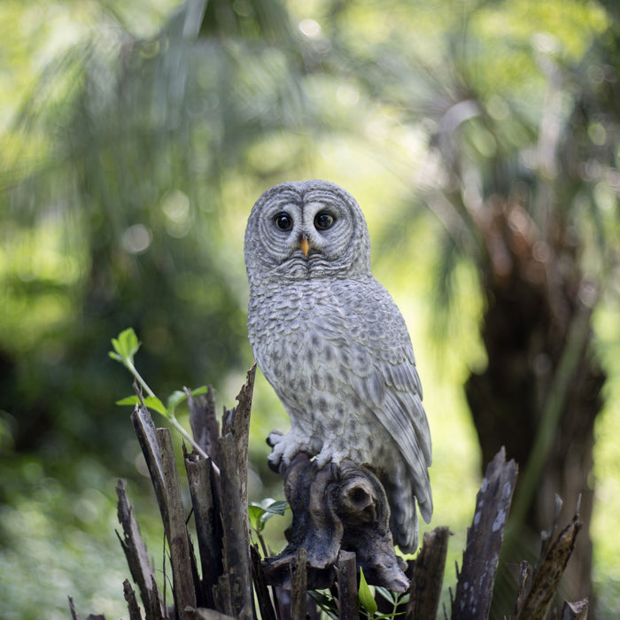 SOREAL Grey tawny Owl on branch Hi-Line Gift Ltd.