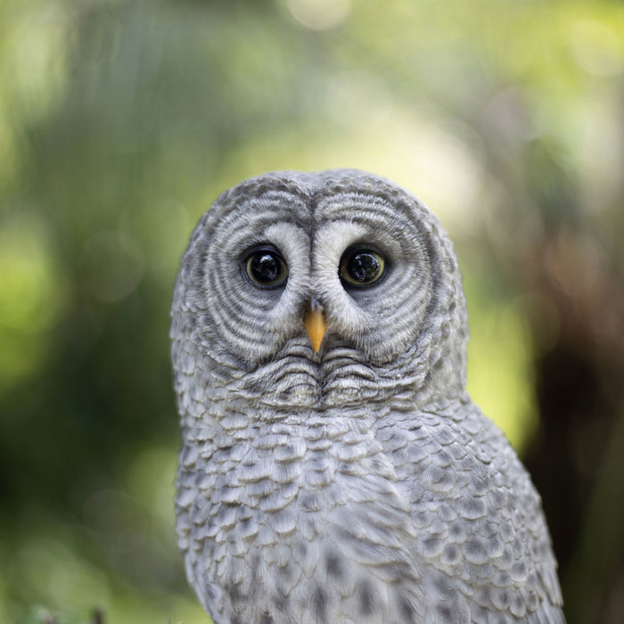 SOREAL Grey tawny Owl on branch Hi-Line Gift Ltd.