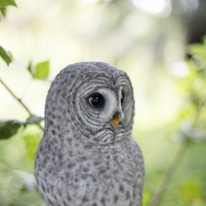 SOREAL Grey tawny Owl on branch Hi-Line Gift Ltd.