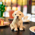 SOREAL Brown Labrador Decorative Puppy Figurine for Home & Garden Décor Hi-Line Gift Ltd.