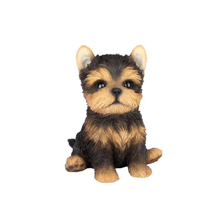 SOREAL Brown YorkTerrier Hi-Line Gift Ltd.