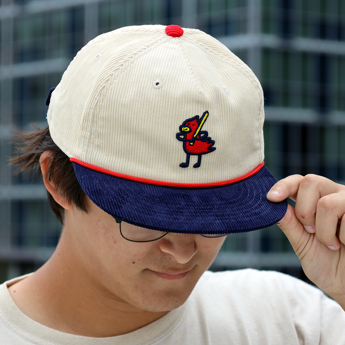 [ st. louis ] for the birds - Official League