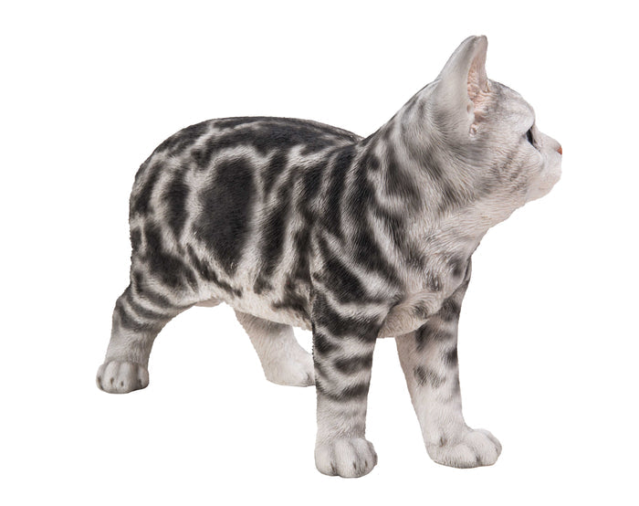Standing American Shorthair Statue Hi-Line Gift Ltd.