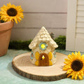 Stonewear Led House with Butterfly Door & Window