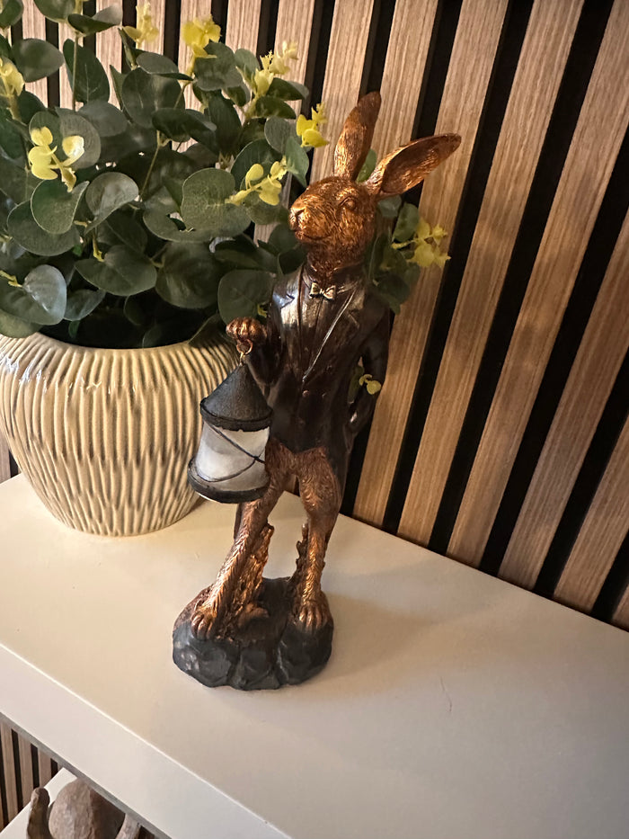 Stunning Hare with light Up Lantern