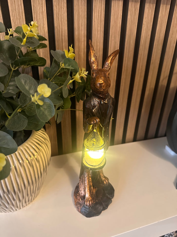 Stunning Hare with light Up Lantern