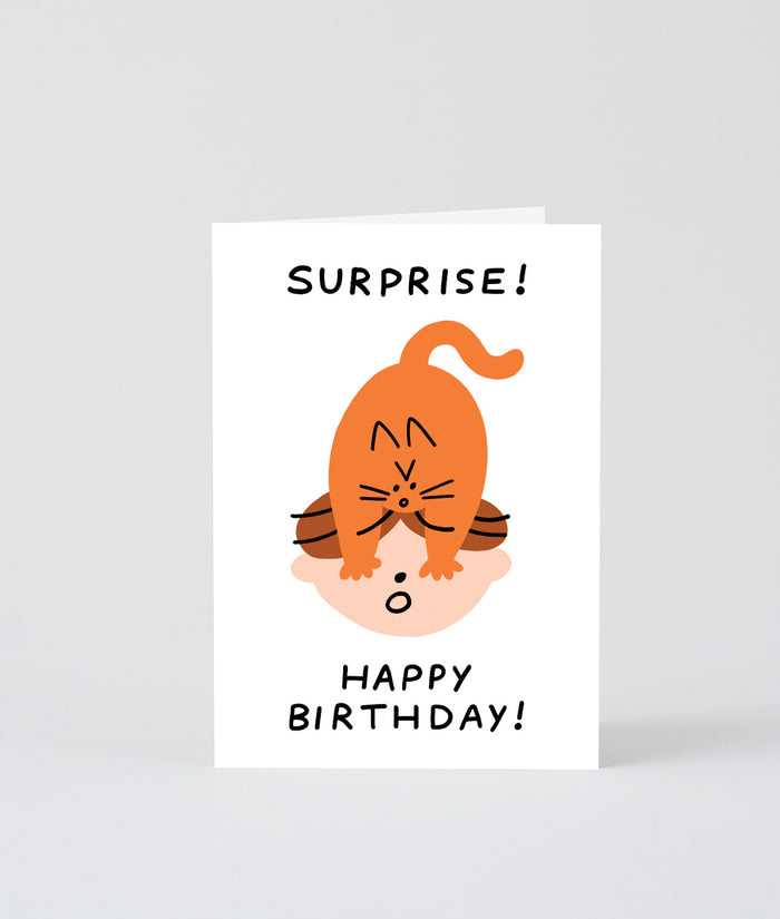 Surprise! Happy Birthday Cat