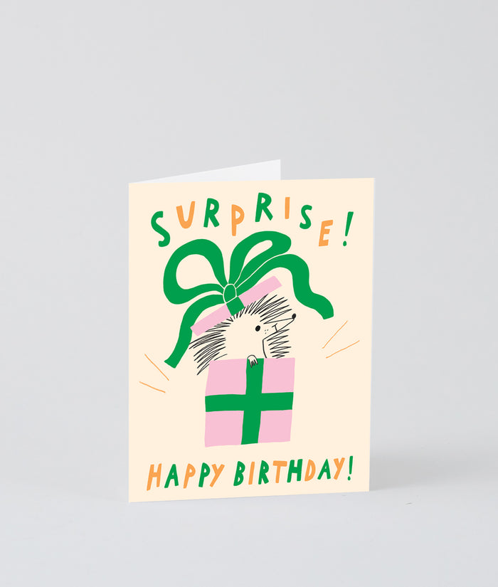 Surprise Hedgehog Kids Birthday Card
