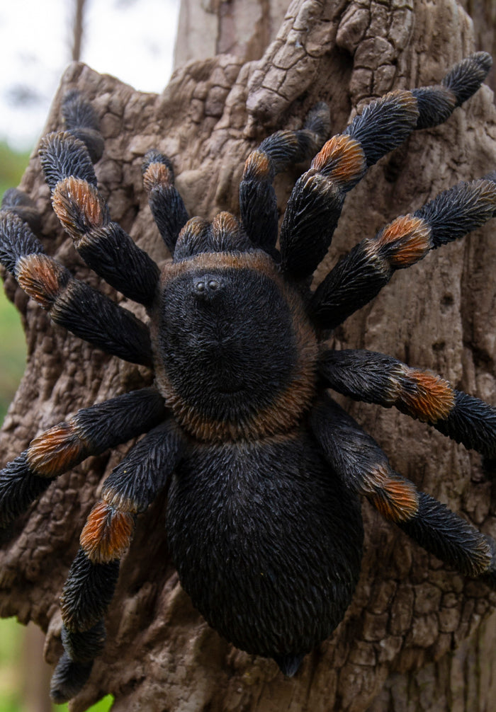 Tarantula HI-LINE GIFT LTD.