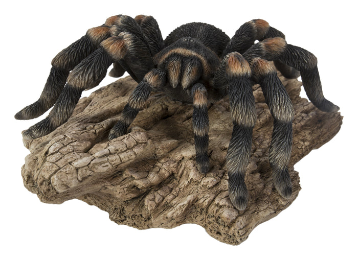 Tarantula HI-LINE GIFT LTD.