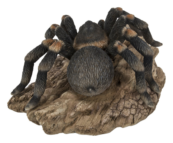 Tarantula HI-LINE GIFT LTD.