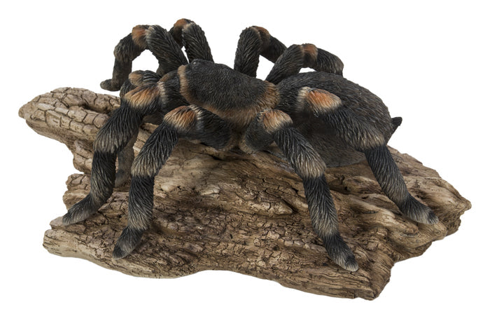 Tarantula HI-LINE GIFT LTD.