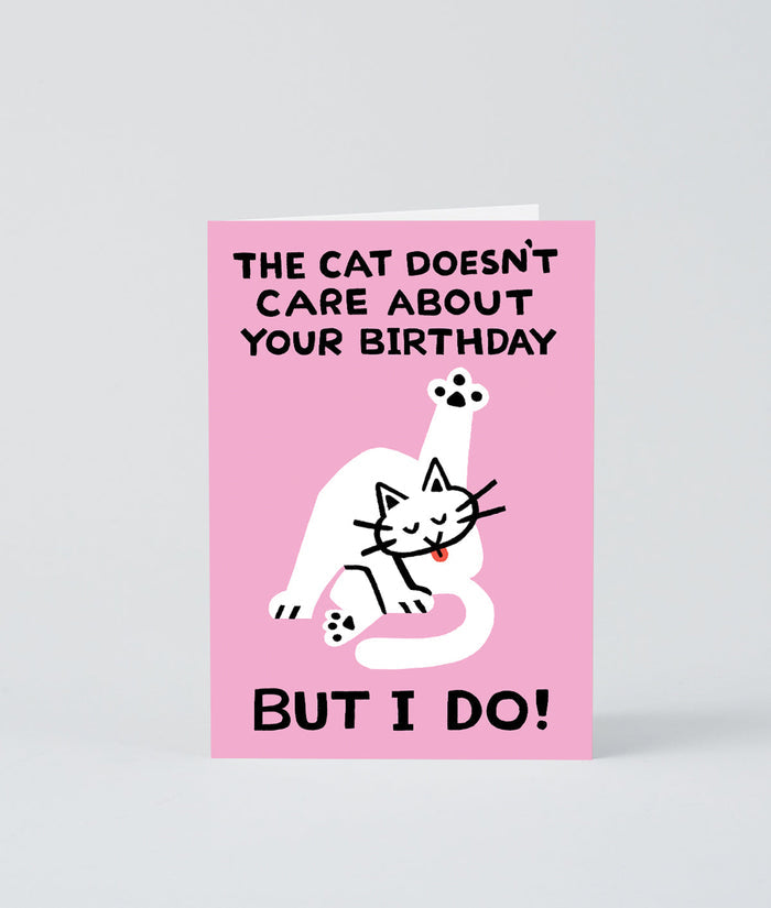 The Cat Doesn't Care