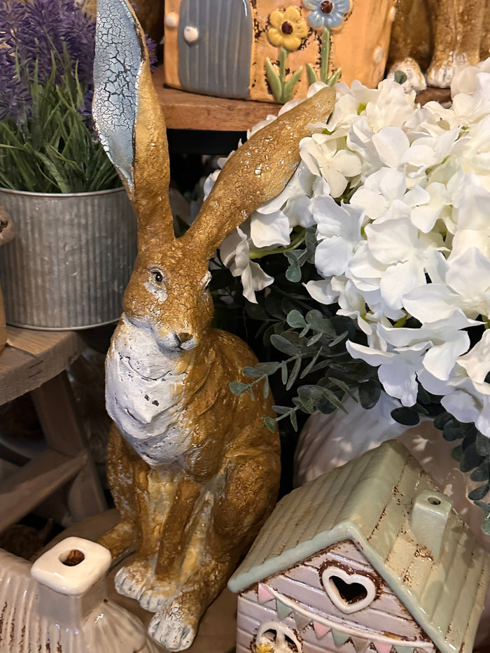 Unusual Rabbit Decor