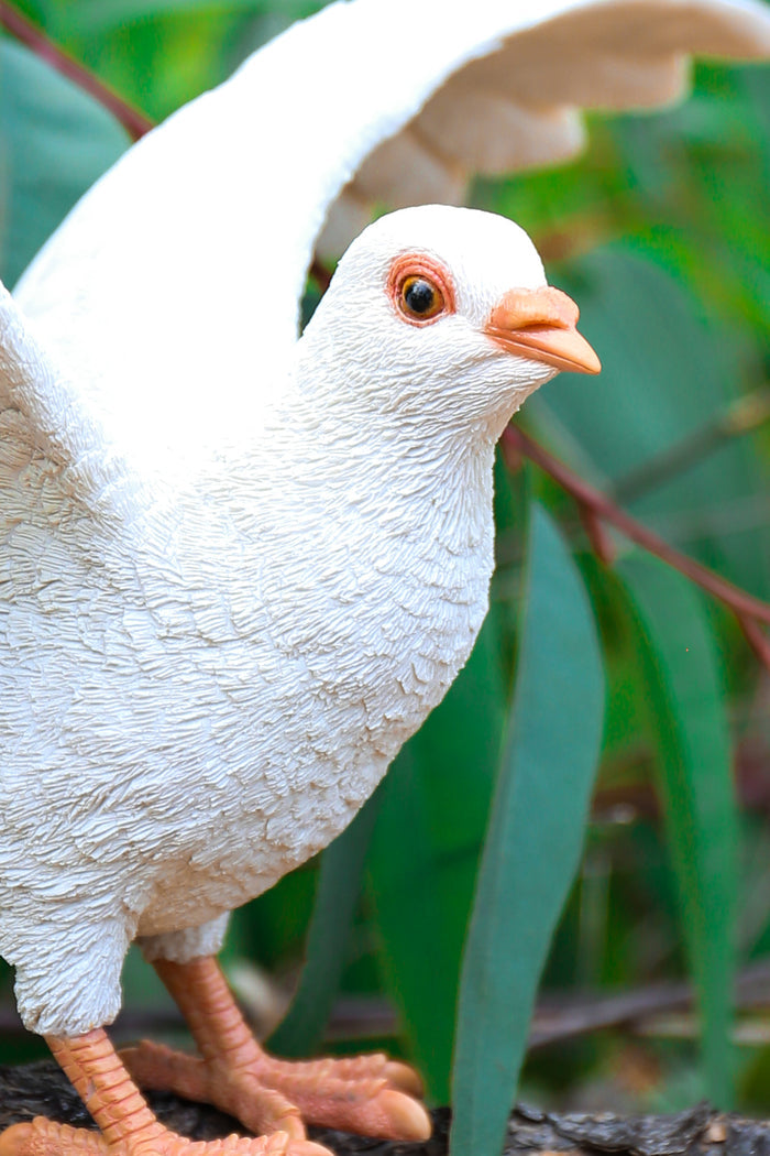 Pigeon W/Spread Wings - White Statue HI-LINE GIFT LTD.