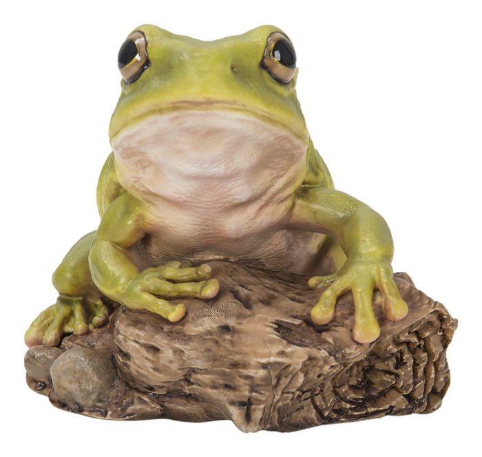 White'S Tree Frog HI-LINE GIFT LTD.