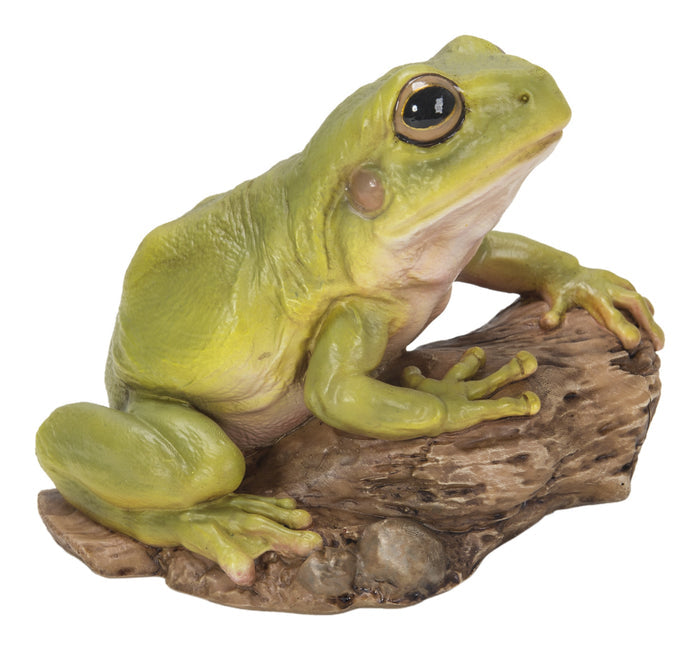 White'S Tree Frog HI-LINE GIFT LTD.