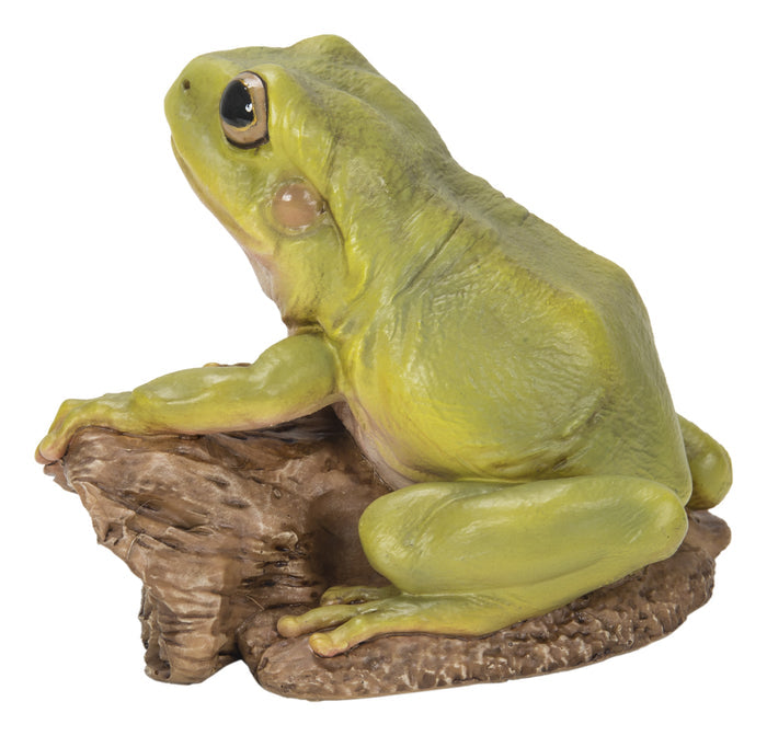 White'S Tree Frog HI-LINE GIFT LTD.