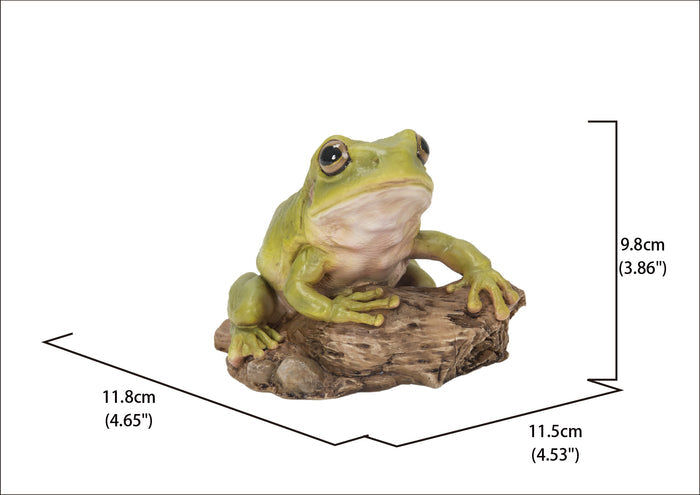 White'S Tree Frog HI-LINE GIFT LTD.