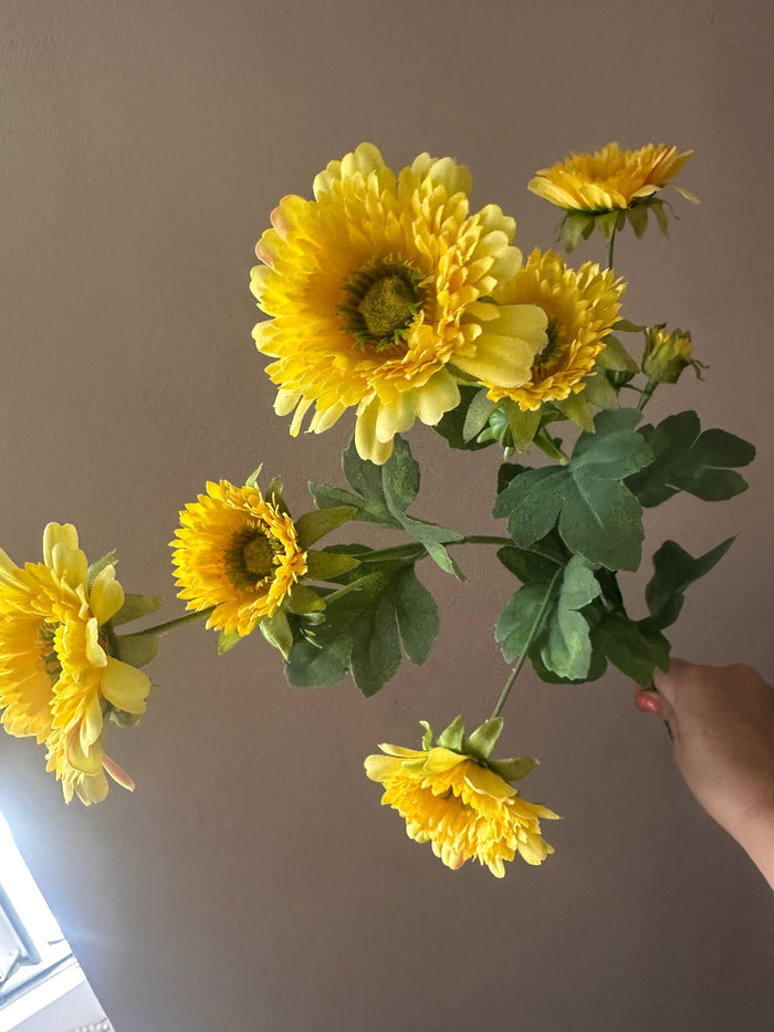 Wild Gerbera Spray Choice of 2 Colours