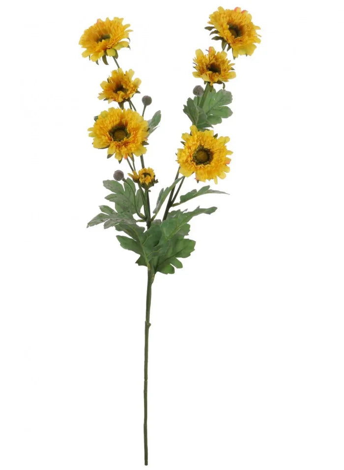 Wild Gerbera Spray Choice of 2 Colours