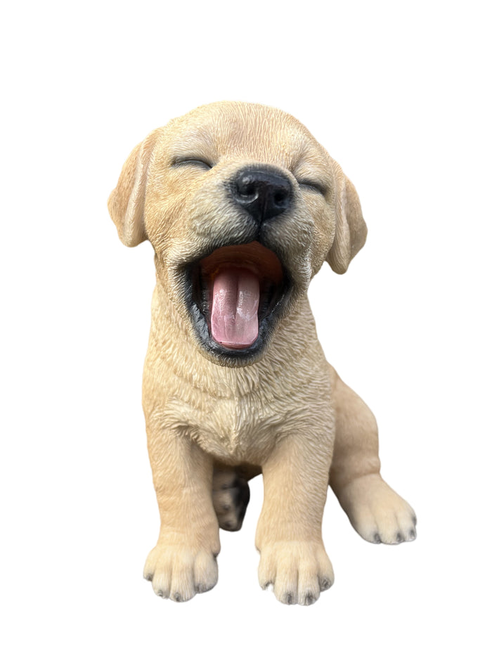 87703-T - Yawning Labrador (Hi-Line Exclusive) Hi-Line Gift Ltd.